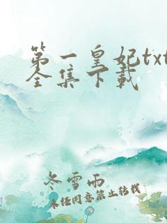第一皇妃txt全集下载