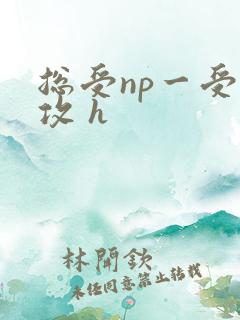 总受np一受多攻 h