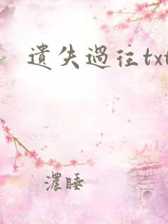 遗失过往txt