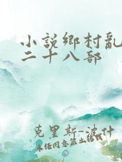 小说乡村乱情第二十八部