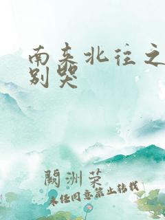 南来北往之老婆别哭
