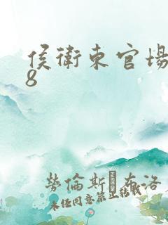 侯卫东官场笔记8