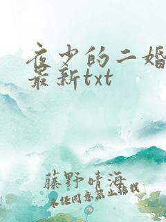 夜少的二婚新妻最新txt