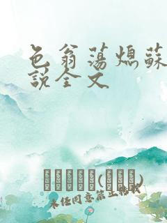 色翁荡熄苏钥小说全文