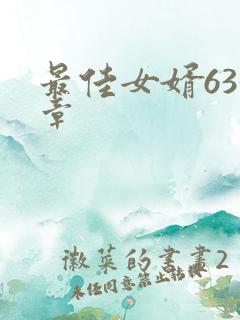 最佳女婿633章
