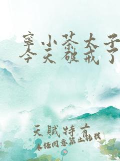 宁小茶太子殿下今天破戒了吗免费阅读