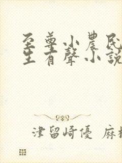 至尊小农民王木生有声小说第二部