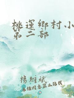 桃运乡村小神医第二部