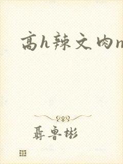 高h辣文肉np
