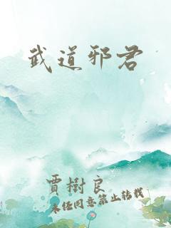 武道邪君