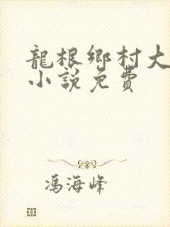 龙根乡村大凶器小说免费