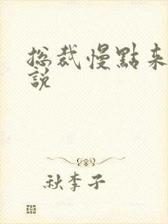 总裁慢点来 小说