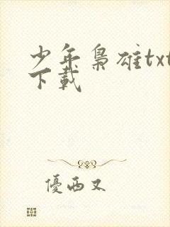 少年枭雄txt下载