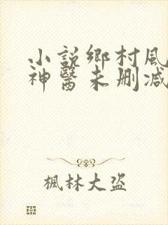 小说乡村风流小神医未删减版