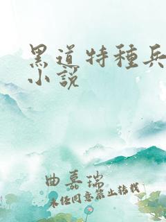 黑道特种兵有声小说