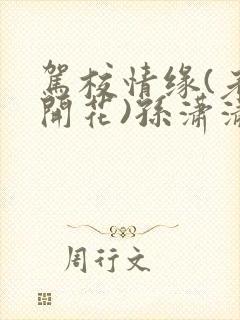 驾校情缘(老树开花)孙潇潇笔趣阁