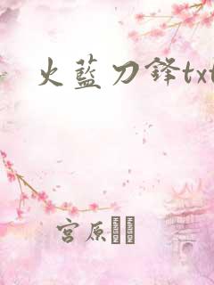 火蓝刀锋txt