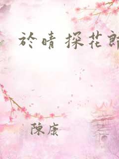 于晴 探花郎