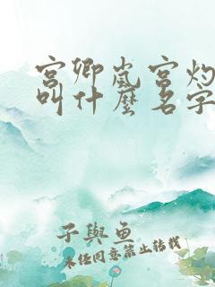 宫卿岚宫灼小说叫什么名字