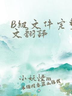 B级文件完整中文翻译