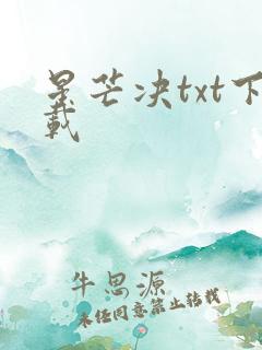 星芒决txt下载