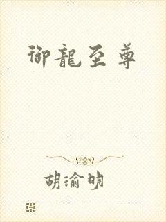 御龙至尊