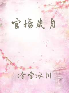 官场岁月