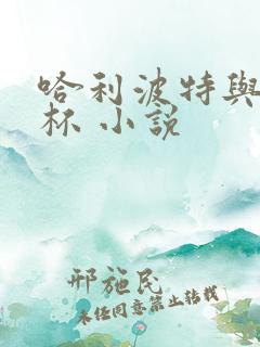 哈利波特与火焰杯 小说