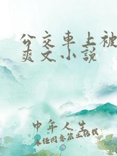 公交车上被强上爽文小说