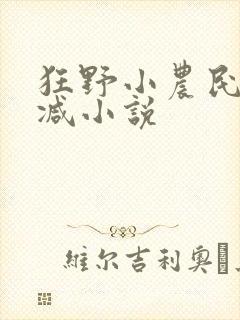 狂野小农民无删减小说
