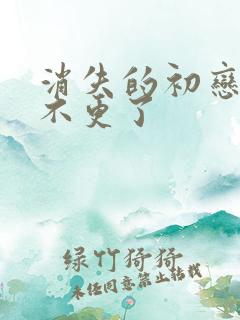消失的初恋为啥不更了