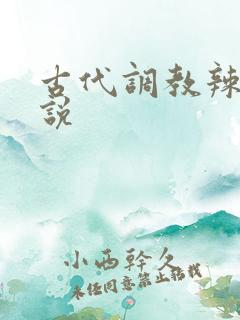 古代调教辣文小说