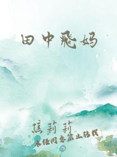 田中飞妈