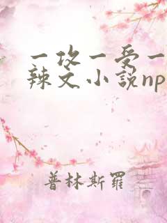 一攻一受一女高辣文小说np
