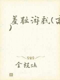 羞耻游戏(高h)