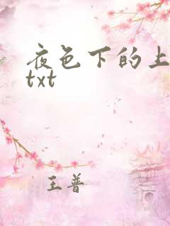 夜色下的上海滩txt