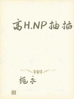 高H.NP抽插