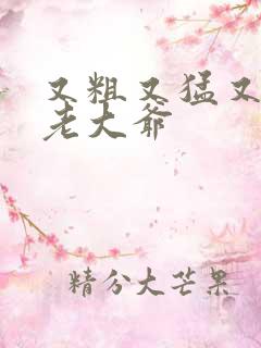 又粗又猛又大爽老大爷