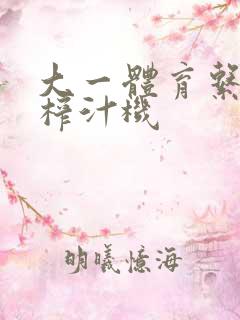 大一体育系精牛榨汁机