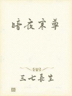 暗夜寒尊