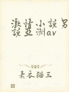 激情小说另类小说亚洲av