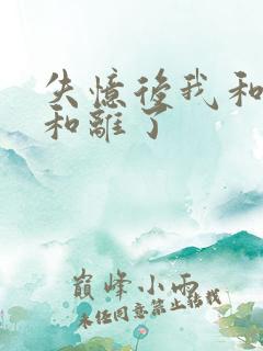失忆后我和王爷和离了