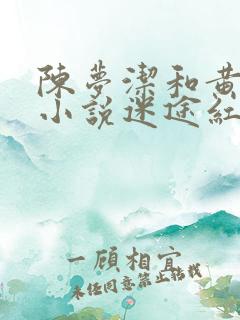 陈梦洁和黄杰的小说迷途红颜