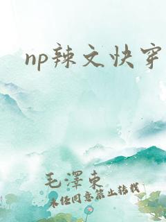 np辣文快穿