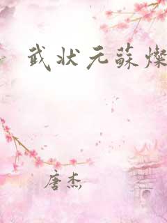 武状元苏灿