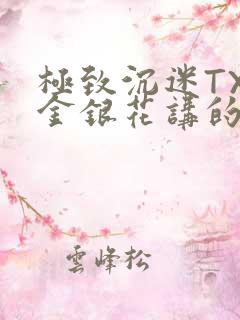 极致沉迷TXL金银花讲的什么