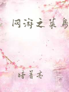网游之菜鸟
