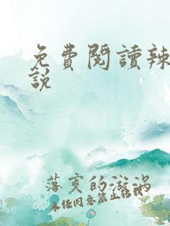 免费阅读辣文小说