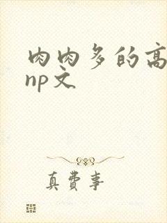 肉肉多的高h np文