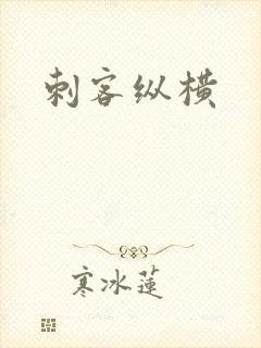 刺客纵横